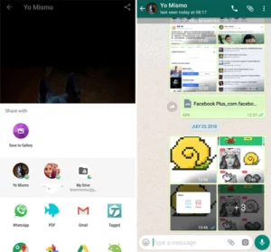 GB WhatsApp Pro APK