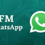 FM WhatsApp APK