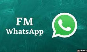 FM WhatsApp APK