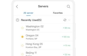 FlyVPN Mod APK