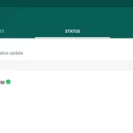 FMWhatsApp APK