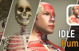 Idle Human Mod APK