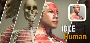 Idle Human Mod APK