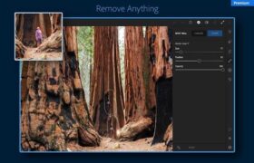Adobe Lightroom Mod APK