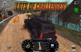 Real Driving Sim Mod APK