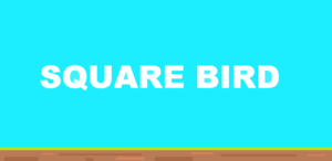 Square Bird APK