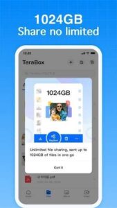 TeraBox Premium APK