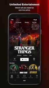 Netflix Mod APK