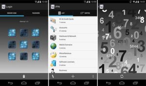 iPIN – Password Manager 3.00 Apk