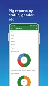 Entrap Piglets APK