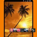 Simple Gallery Pro APK