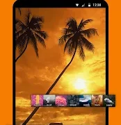 Simple Gallery Pro APK