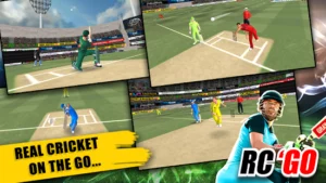 Real Cricket GO APK