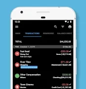 Bluecoins Finance Premium APK