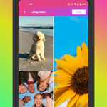 PhotoGrid Premium APK