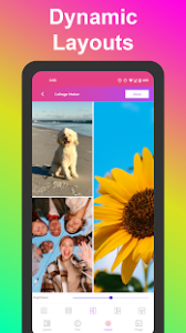 PhotoGrid Premium APK