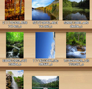 Perfect Viewer Premium APK