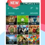 Cleaner for WhatsApp Pro APK