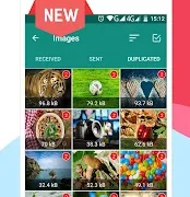 Cleaner for WhatsApp Pro APK