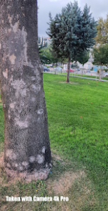 Camera 4K Pro - Perfect Selfie APK