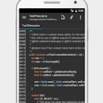 QuickEdit Text Editor Pro APK