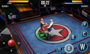 Real Wrestling 3D APK