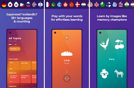 Drops Language Learning Mod Apk