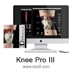 Dropbox Knee Pro III Mod APK