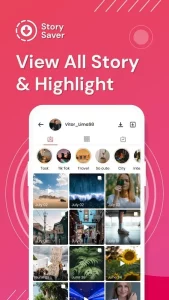 Story Saver MOD APK 2.3.1 (Unlocked Pro) 1